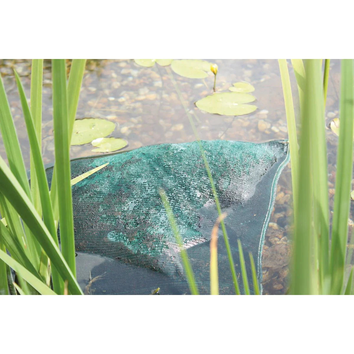 AquaActiv AquaHumin 10 l - Japankoi.net