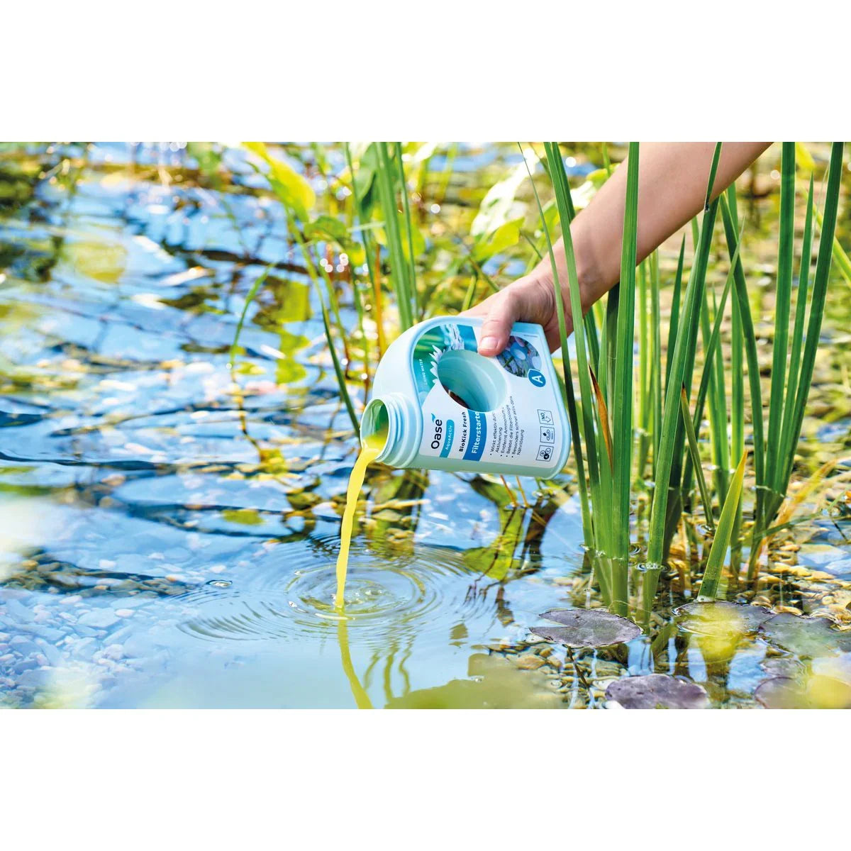 AquaActiv BioKick Fresh 500 ml - Japankoi.net