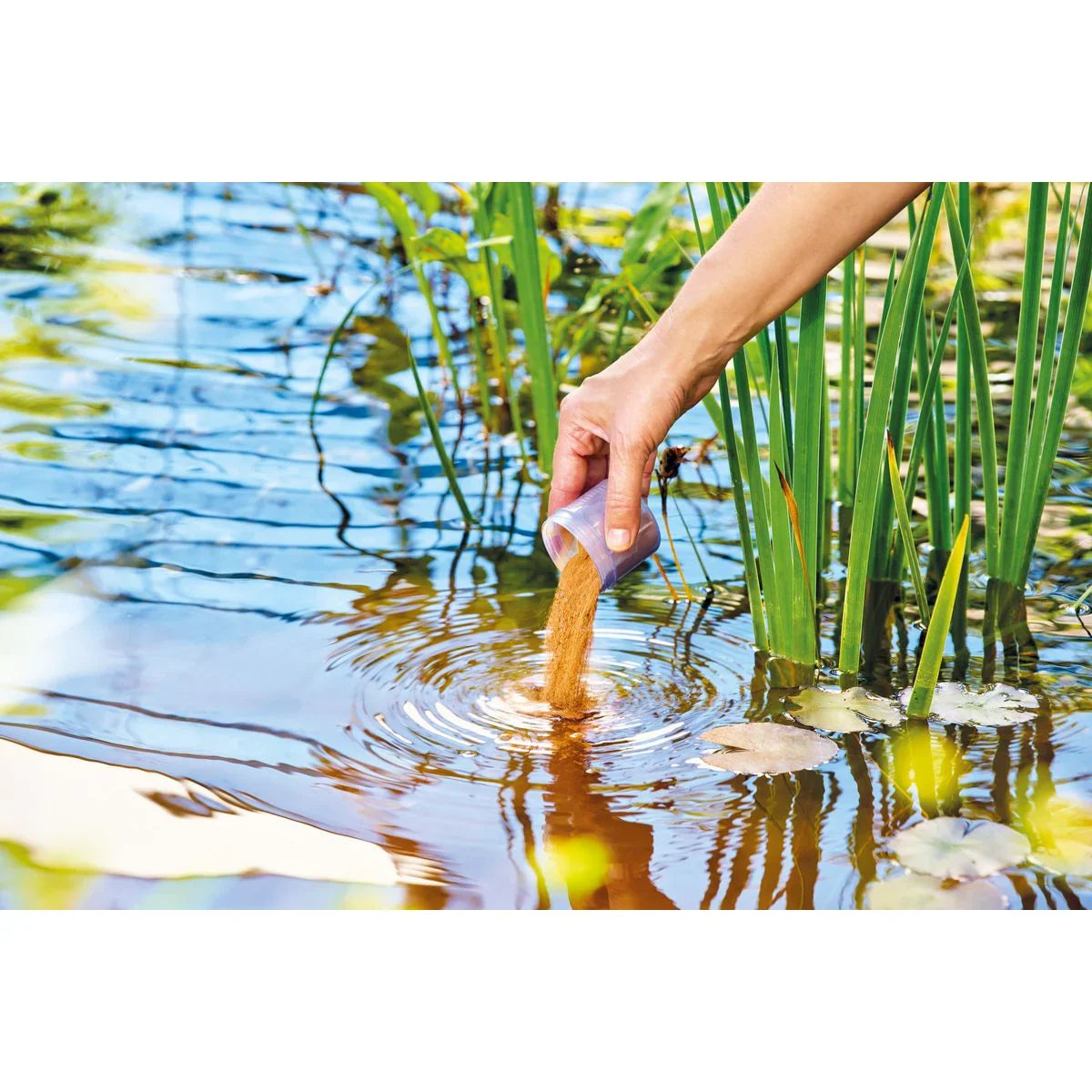 AquaActiv PhosLess Direct 650 g (500 ml) - Japankoi.net
