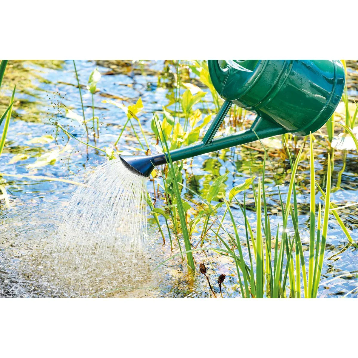 AquaActiv PondClear 500 ml - Japankoi.net