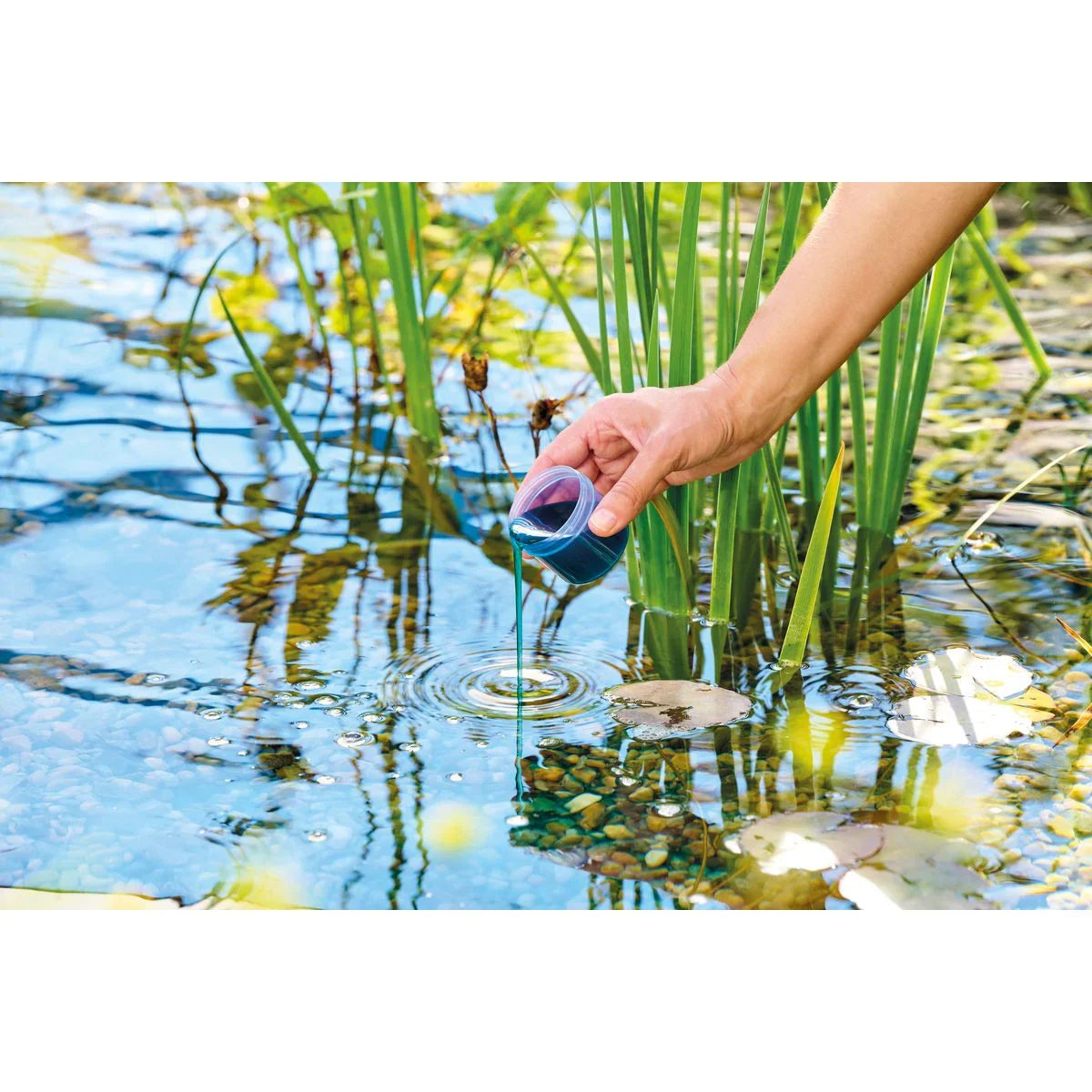 AquaActiv Safe&Care 500 ml - Japankoi.net