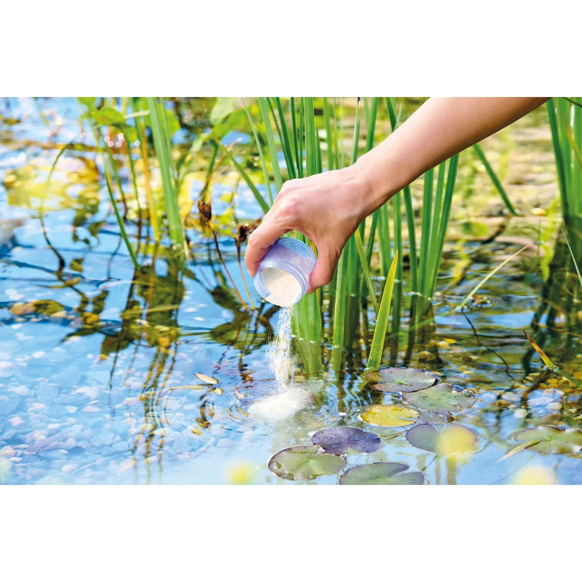 AquaActiv SediFree 700 g (500 ml) - Japankoi.net