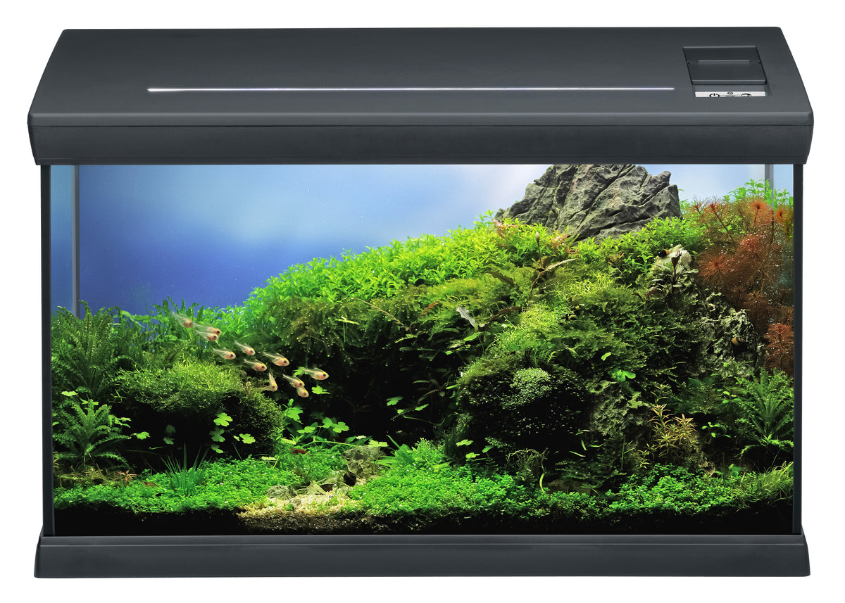EHEIM aquaclass 66 weiß