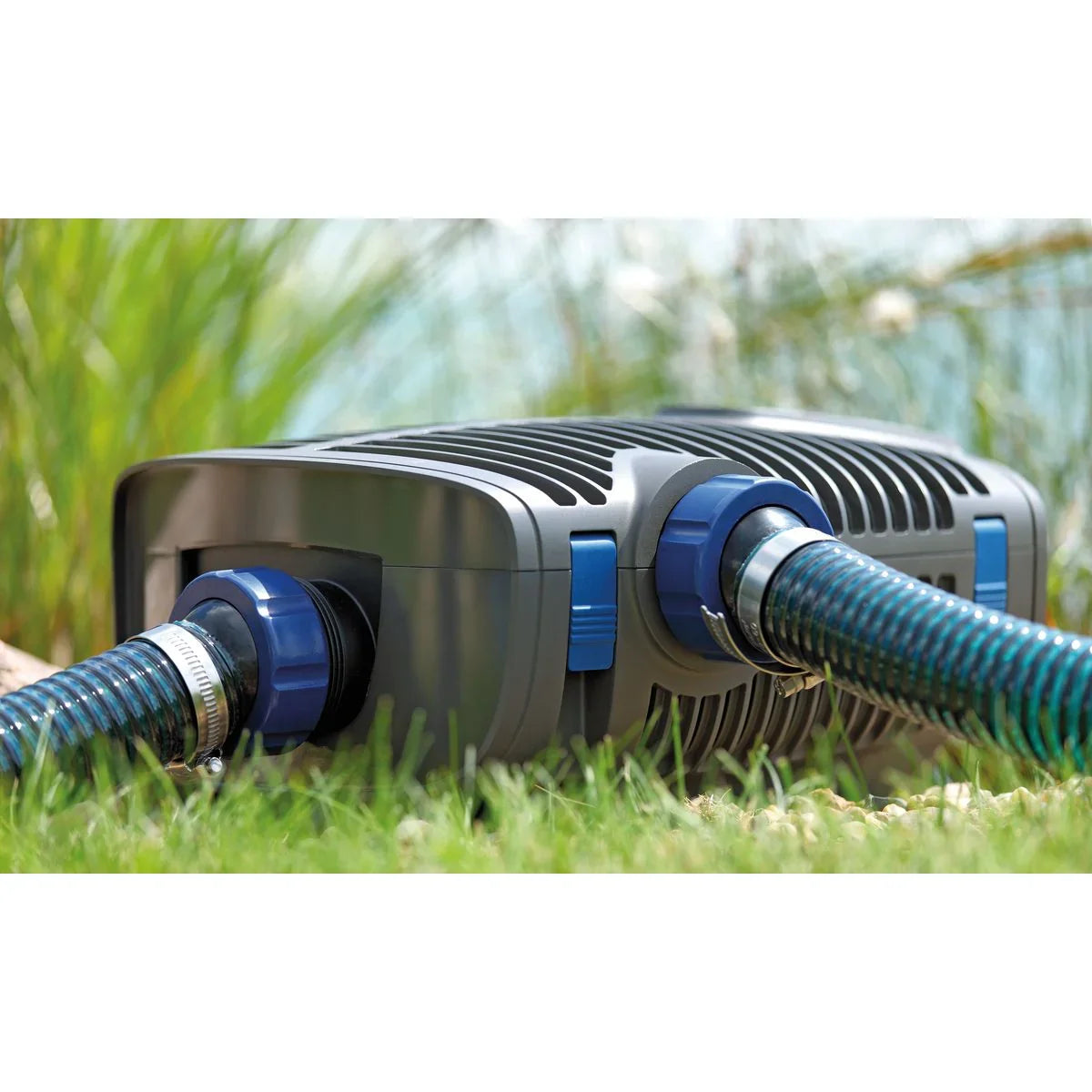AquaMax Eco Premium 12000 / 12 V - Japankoi.net
