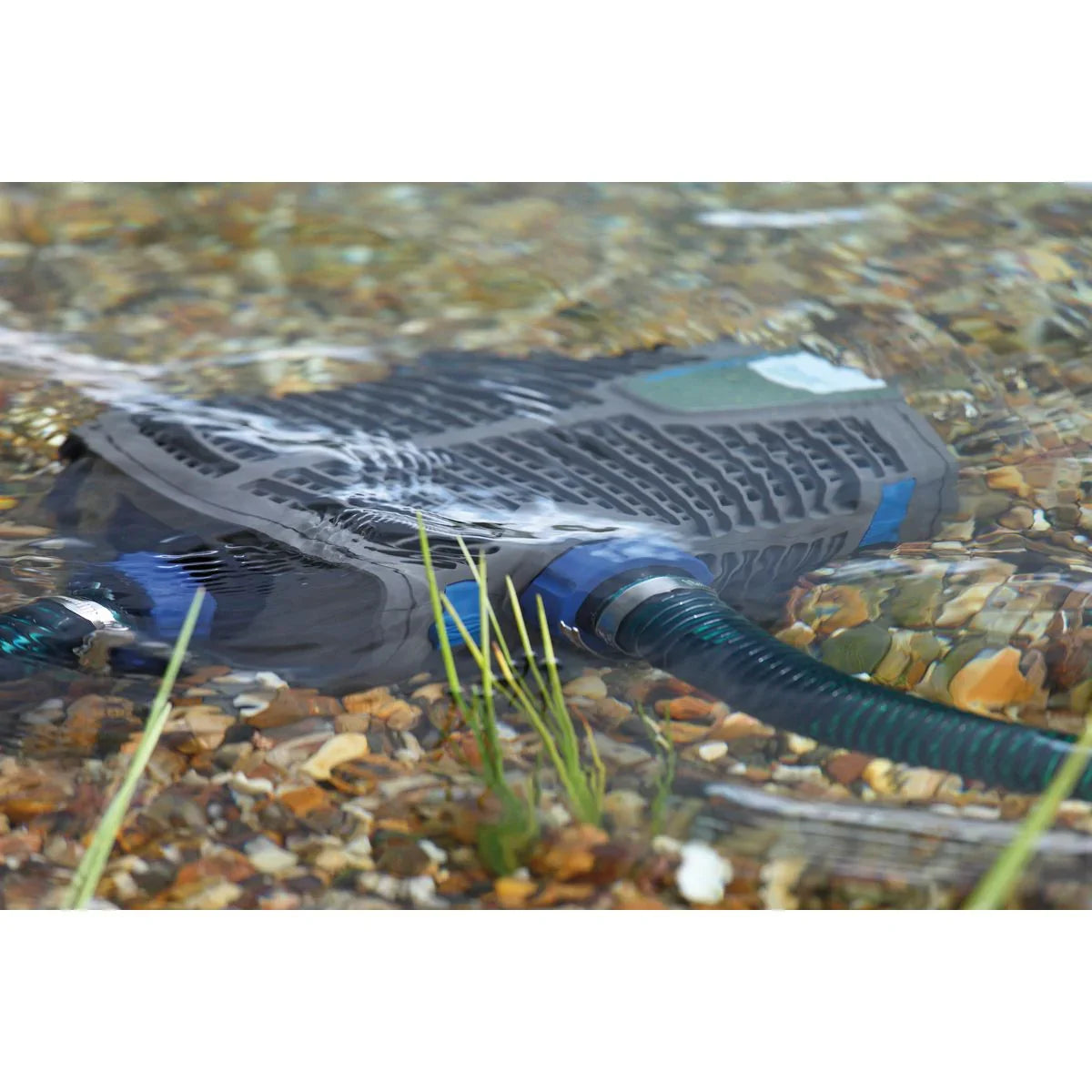 AquaMax Eco Premium 6000 / 12 V - Japankoi.net