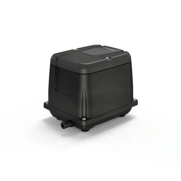 AquaOxy 2500 - Japankoi.net