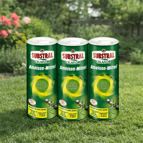 SUBSTRAL® Celaflor® Ameisen-Mittel 3 Stück