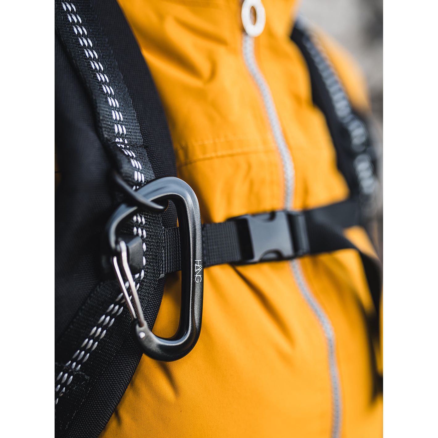 BÄG Rolltop Rucksack inkl. Fach für Laptop [15 Zoll]