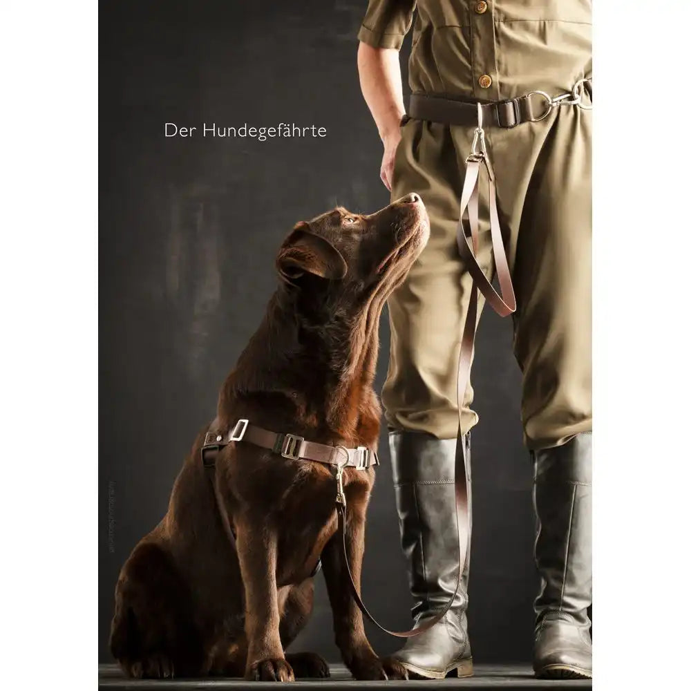 Leinen-Bauchgürtel CHILL (BioThane®) 78-120 cm by Der Hundegefährte