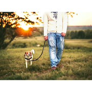 Anti-Stress-Geschirr STURMFREI®, Größe S für Kraftprotze by Der Hundegefährte