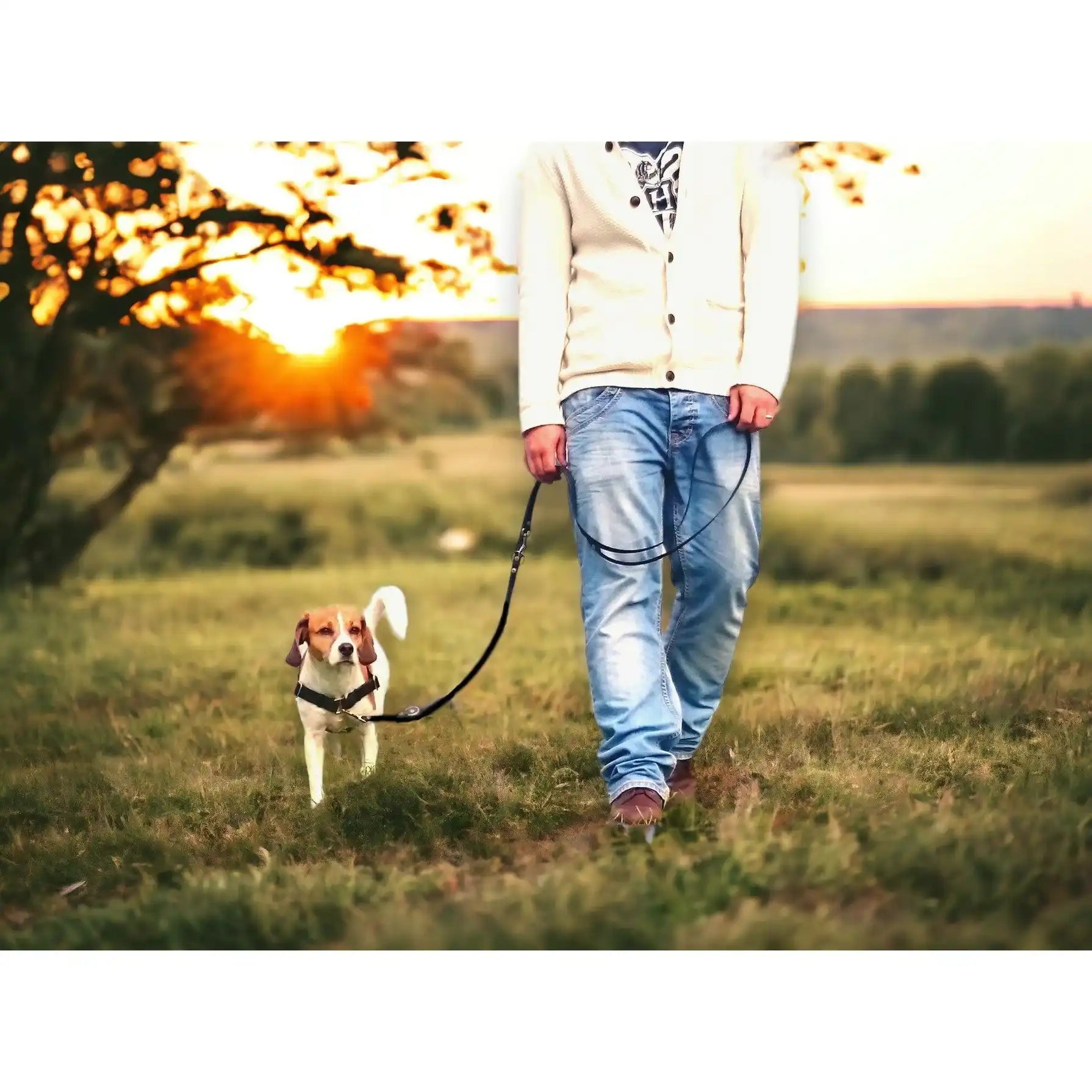 Anti-Stress-Geschirr STURMFREI®, Größe M by Der Hundegefährte