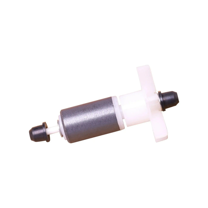 BG Rotor Pumpe 1000 ASE