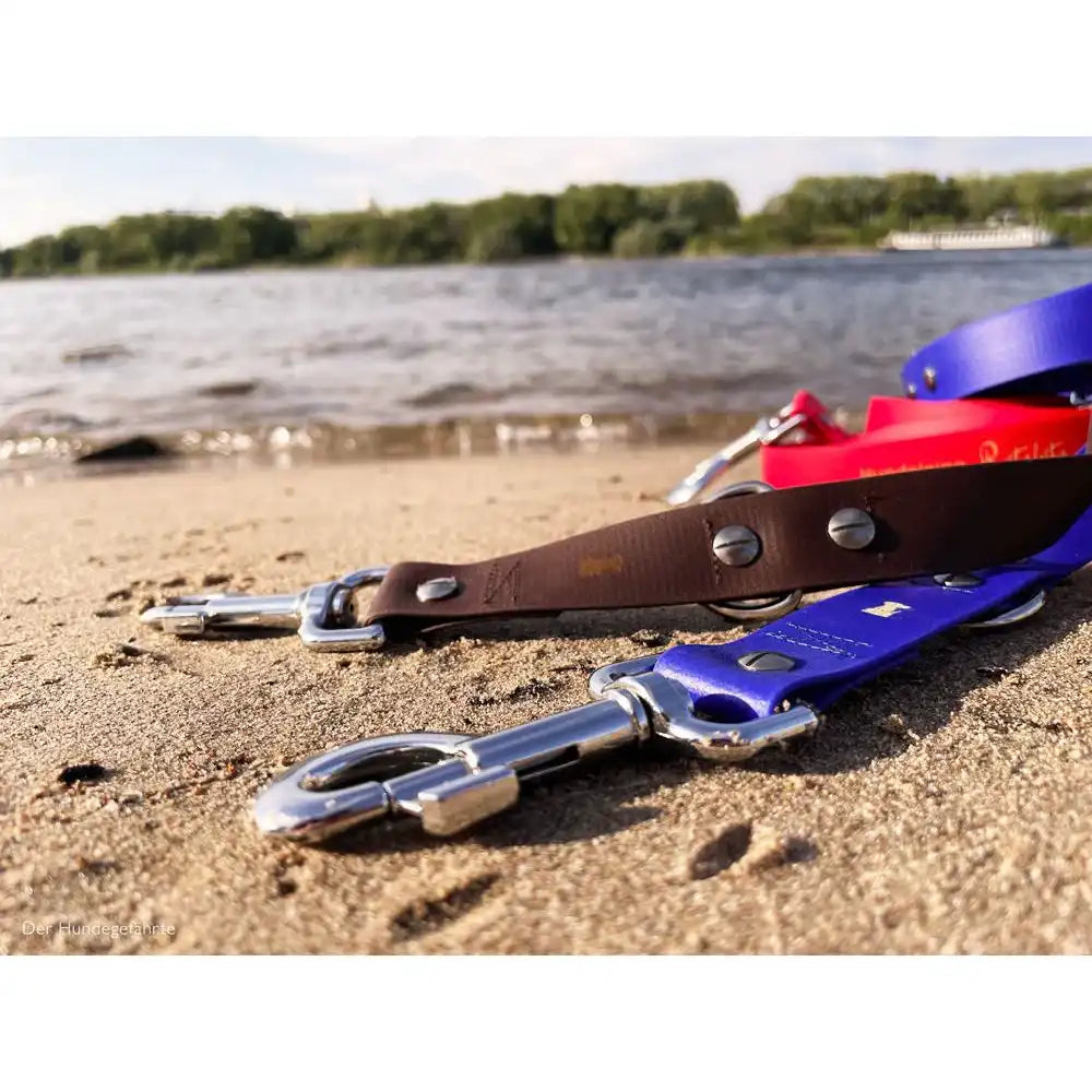 Hundeleine RATZFATZ aus BioThane®/POP - Band by Der Hundegefährte