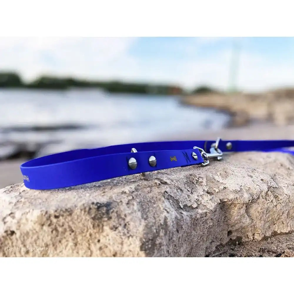 Hundeleine RATZFATZ aus BioThane®/POP - Band by Der Hundegefährte