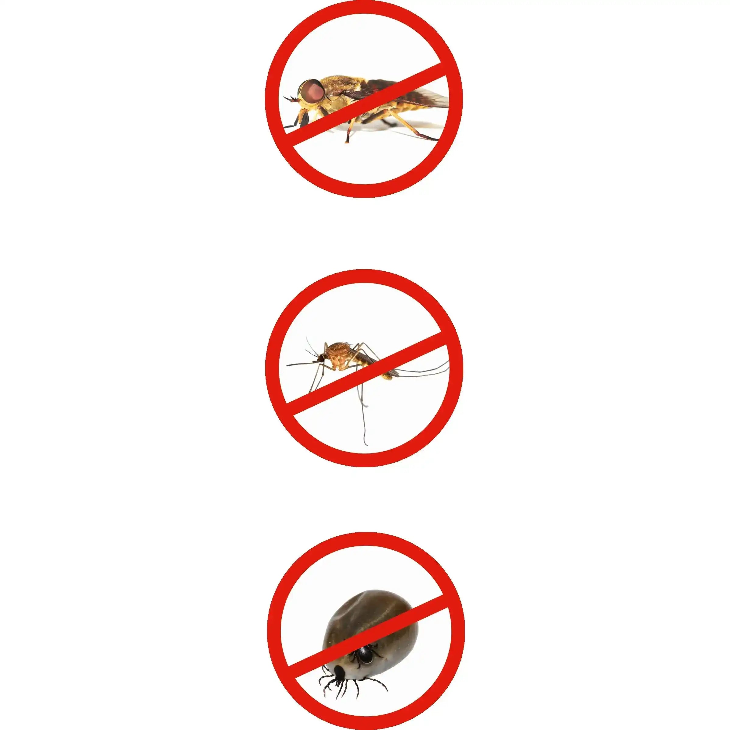 Ballistol Stichfrei® Animal 5 l Kanister by Ballistol