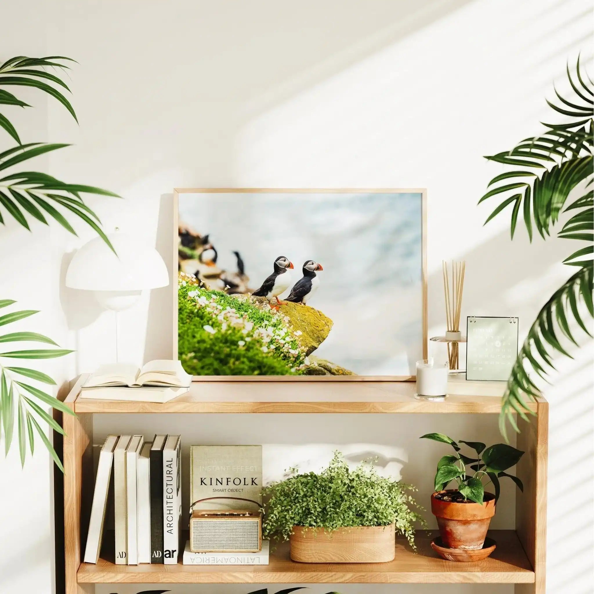 Puffins on Saltee Island – Irish Coastal Wildlife Wall Art by Chamonix Prints