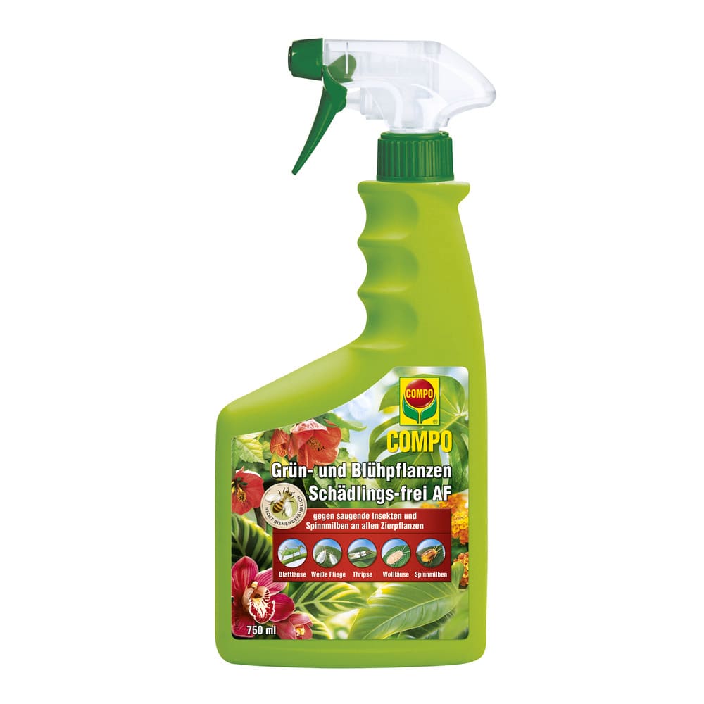COMPO Grün- und Blühpflanzen Schädlings-frei AF