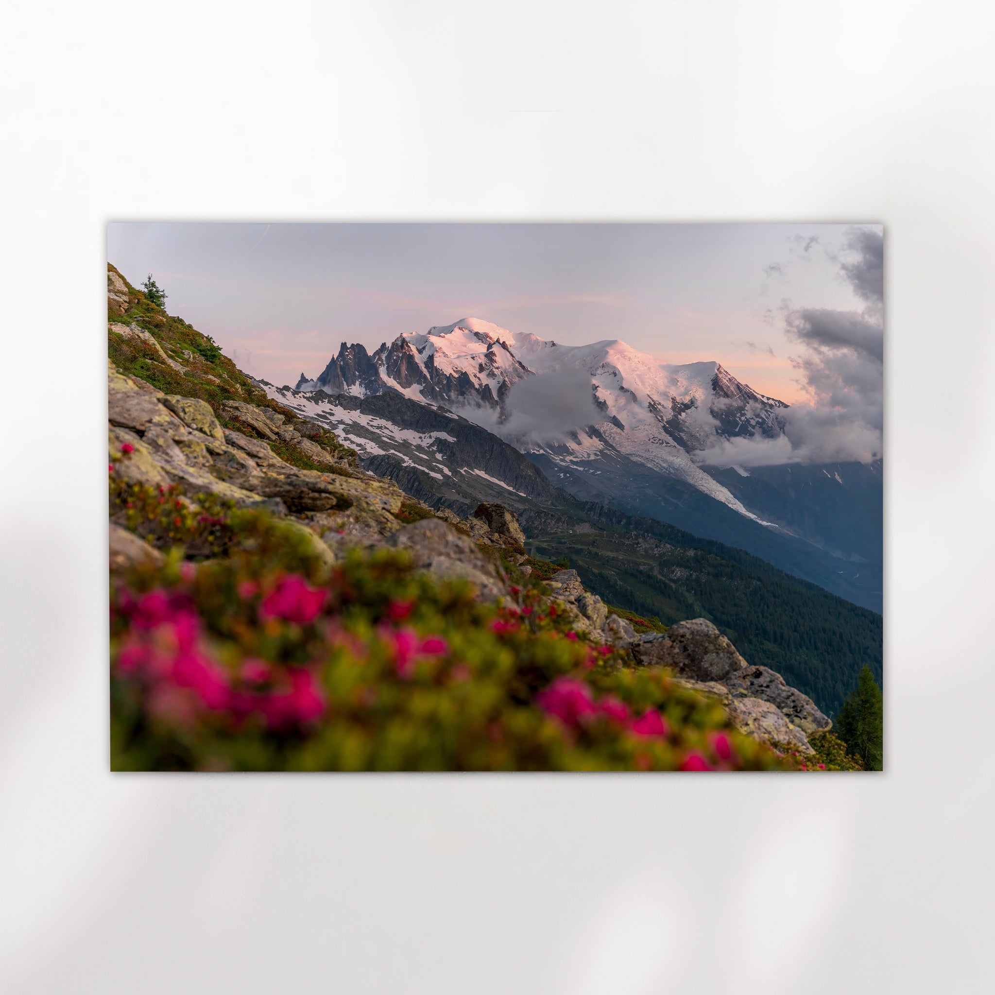 Mont Blanc Sunset Wall Art Print – Chamonix Alpine Landscape with Flowers