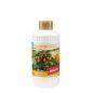 Mairol Citrusdünger Citrusenergie Liquid 1000ml