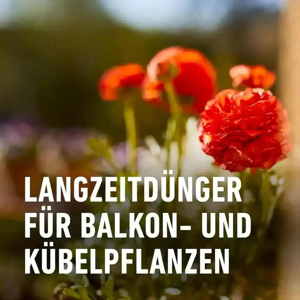 COMPO Balkon- und Kübelpflanzendünger