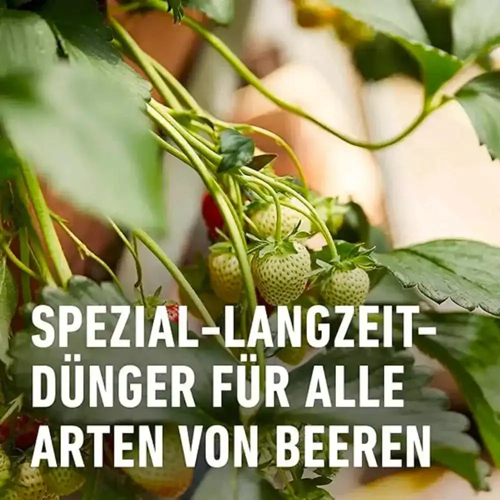 COMPO Beeren- und Obst Langzeit-Dünger