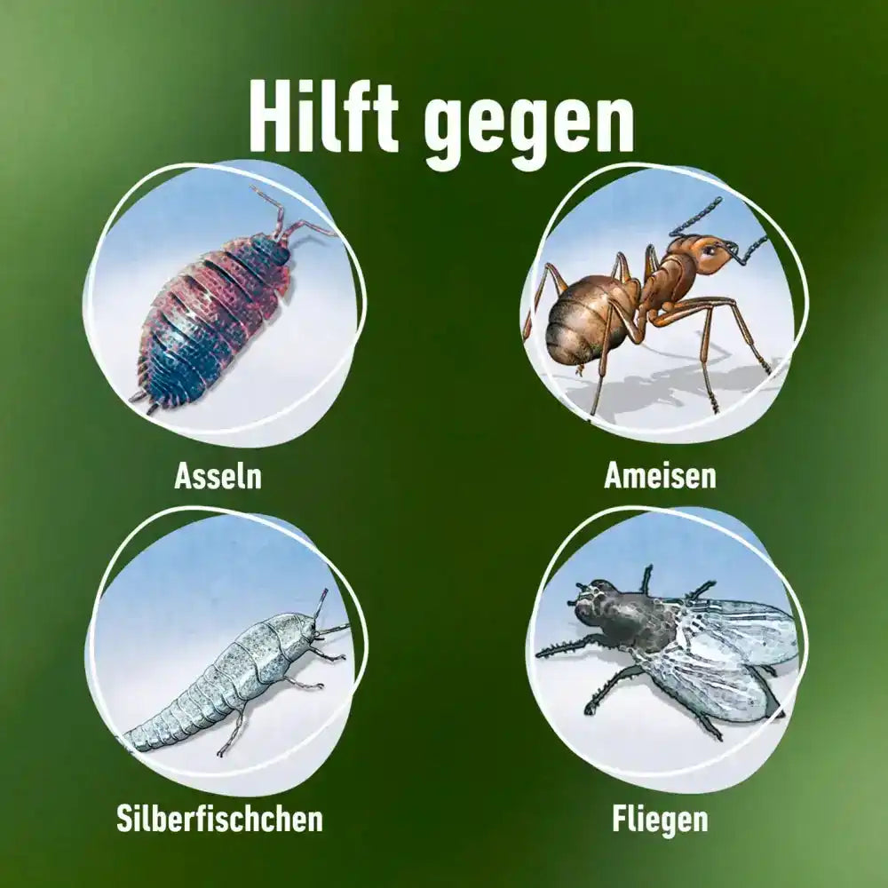 COMPO Bettwanzen- und Insektenspray