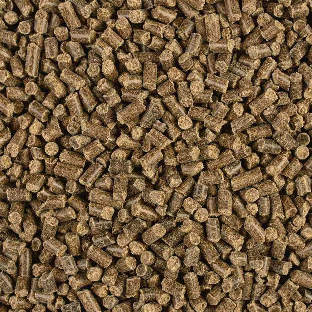 COMPO BIO Hochbeet Dünger mit Schafwolle