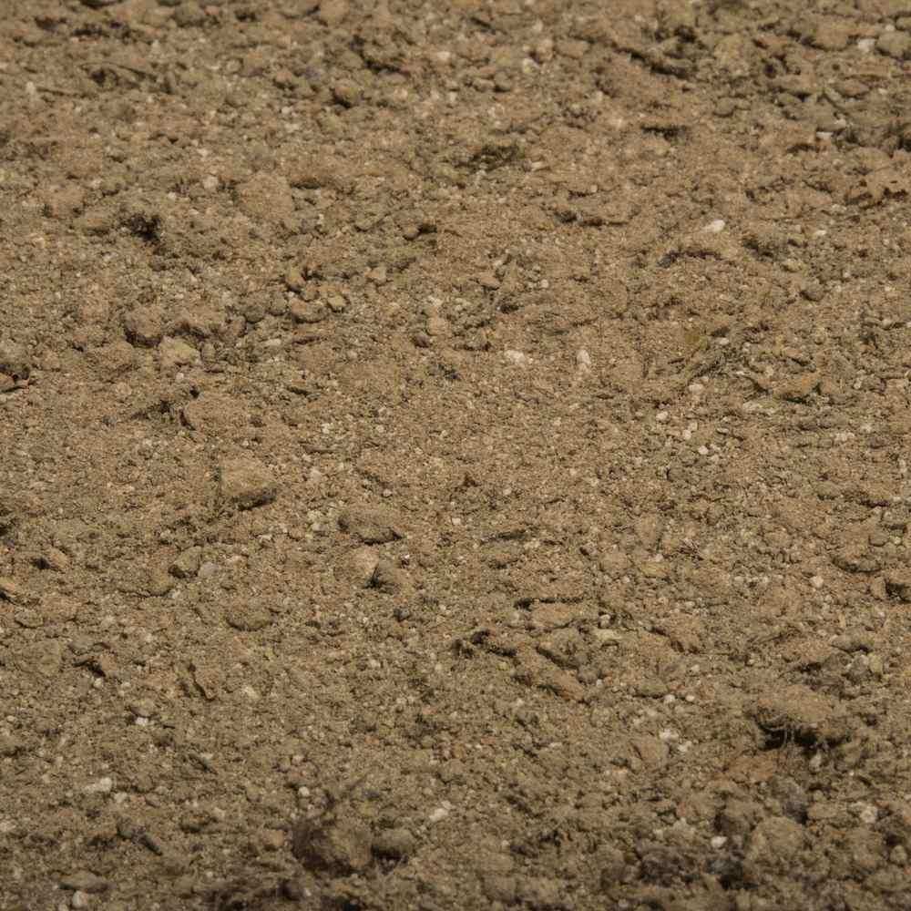 COMPO BIO Naturdünger mit Guano