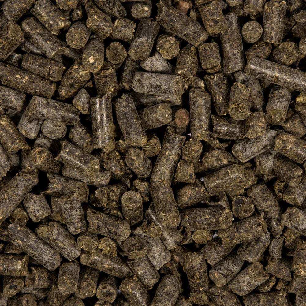 COMPO BIO Pferdedung