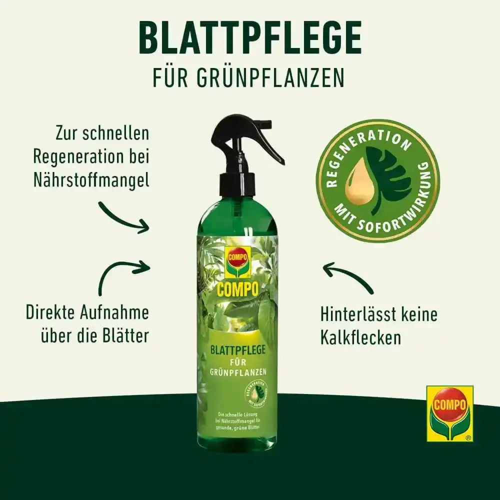 COMPO Blattpflege für Grünpflanzen