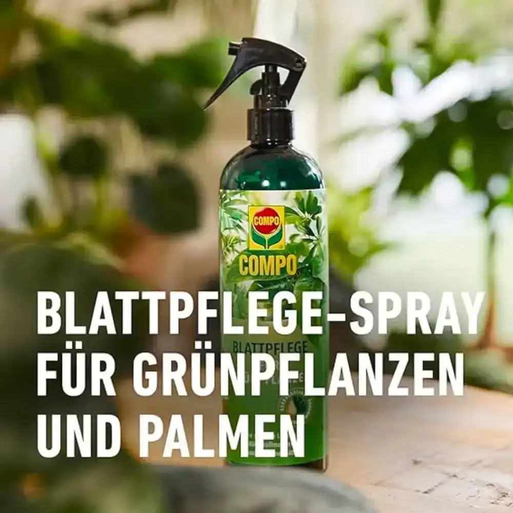 COMPO Blattpflege für Grünpflanzen