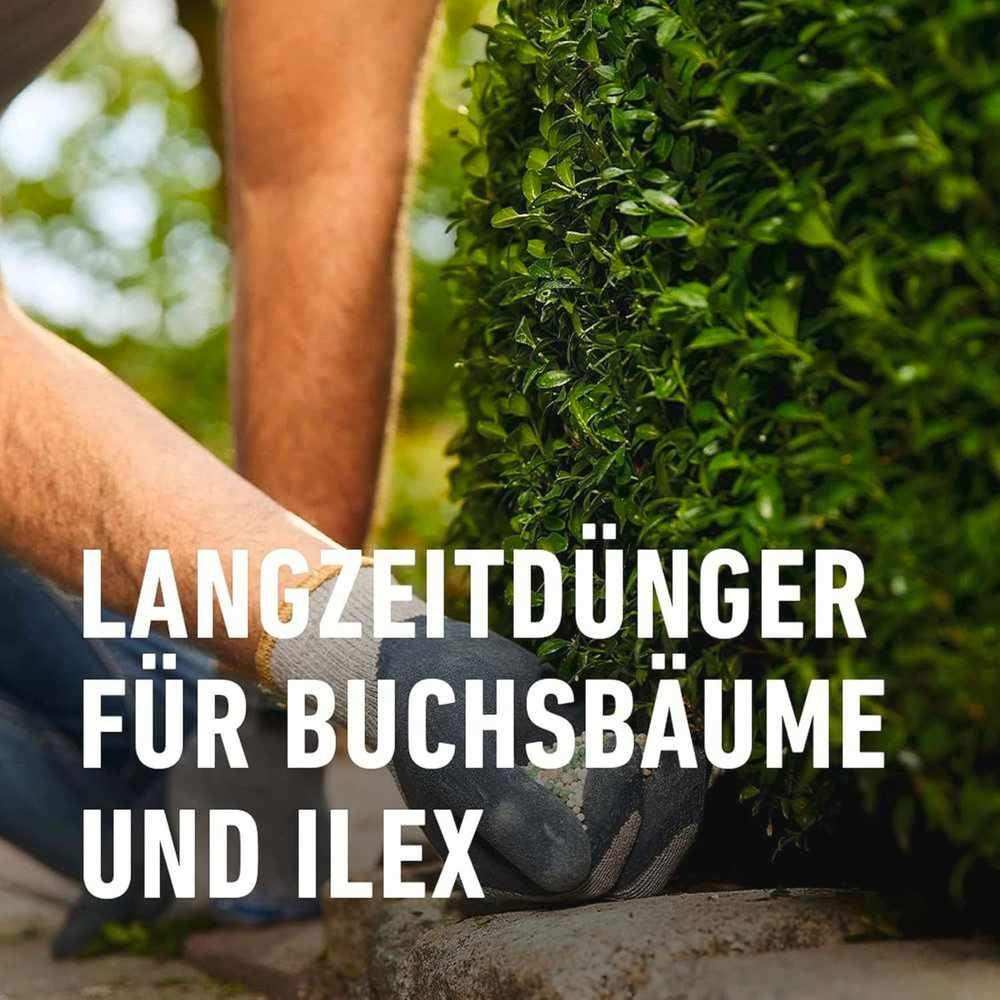 COMPO Buchsbaum- und Ilex Langzeit-Dünger