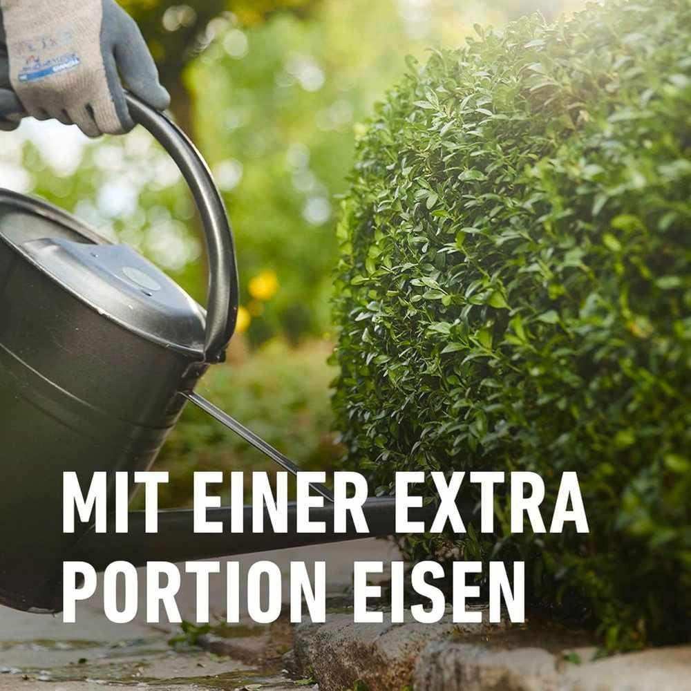 COMPO Buchsbaum- und Ilex Langzeit-Dünger