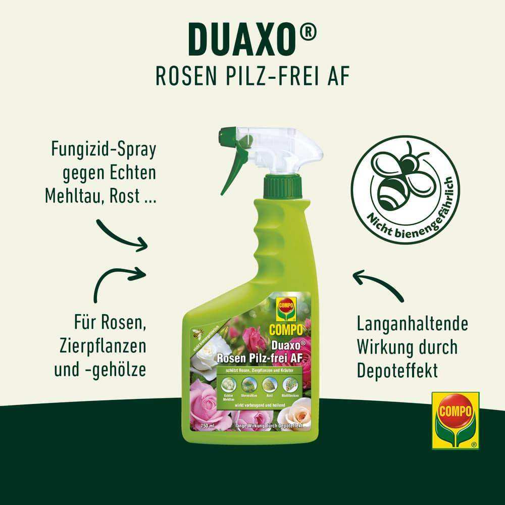 COMPO Duaxo® Rosen Pilz-frei AF