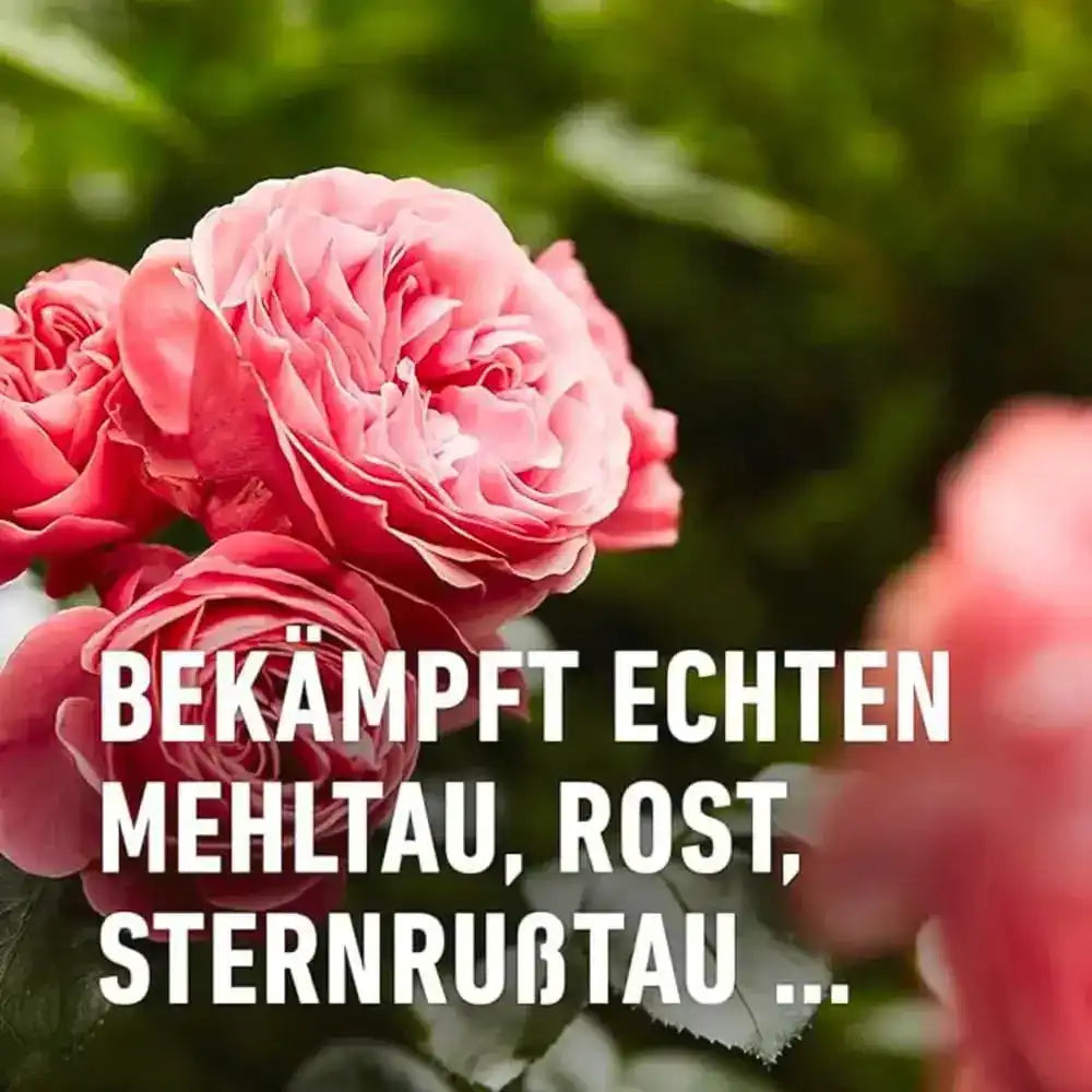 COMPO Duaxo® Rosen Pilz-frei AF