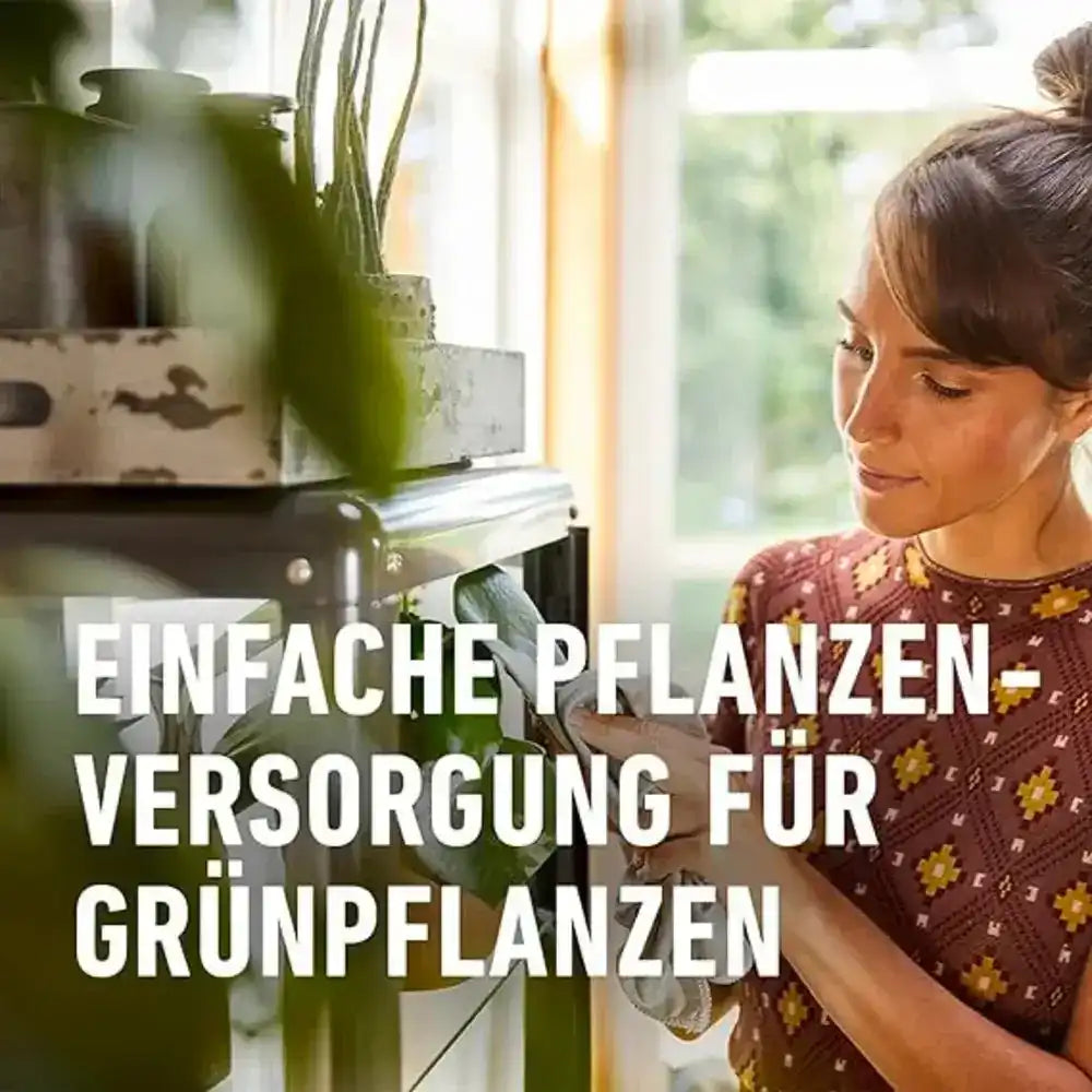 COMPO Grünpflanzen- und Palmen Düngestäbchen mit Guano