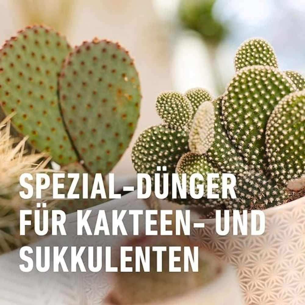 COMPO Kakteen- und Sukkulentendünger