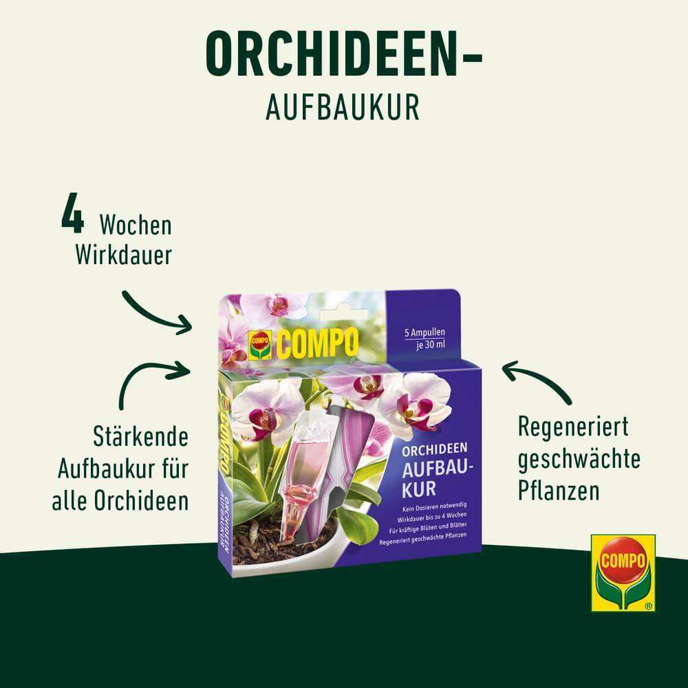 COMPO Orchideen-Aufbaukur