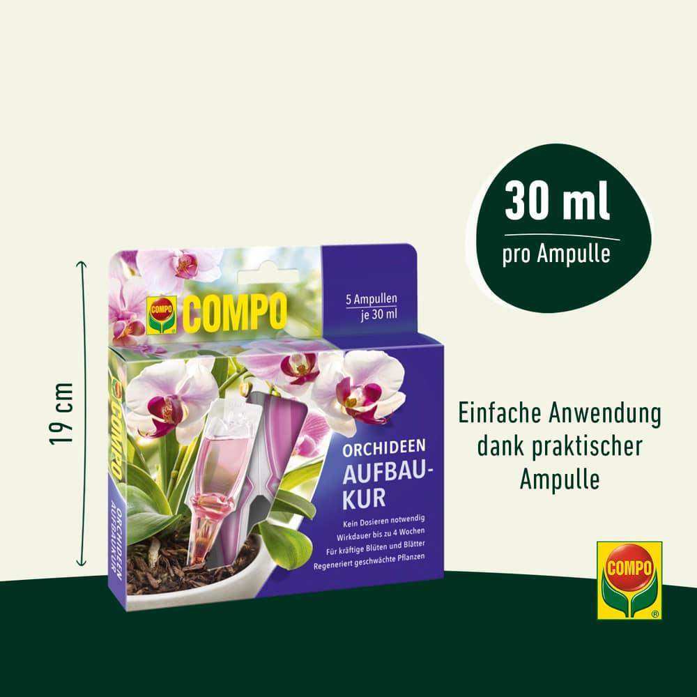 COMPO Orchideen-Aufbaukur
