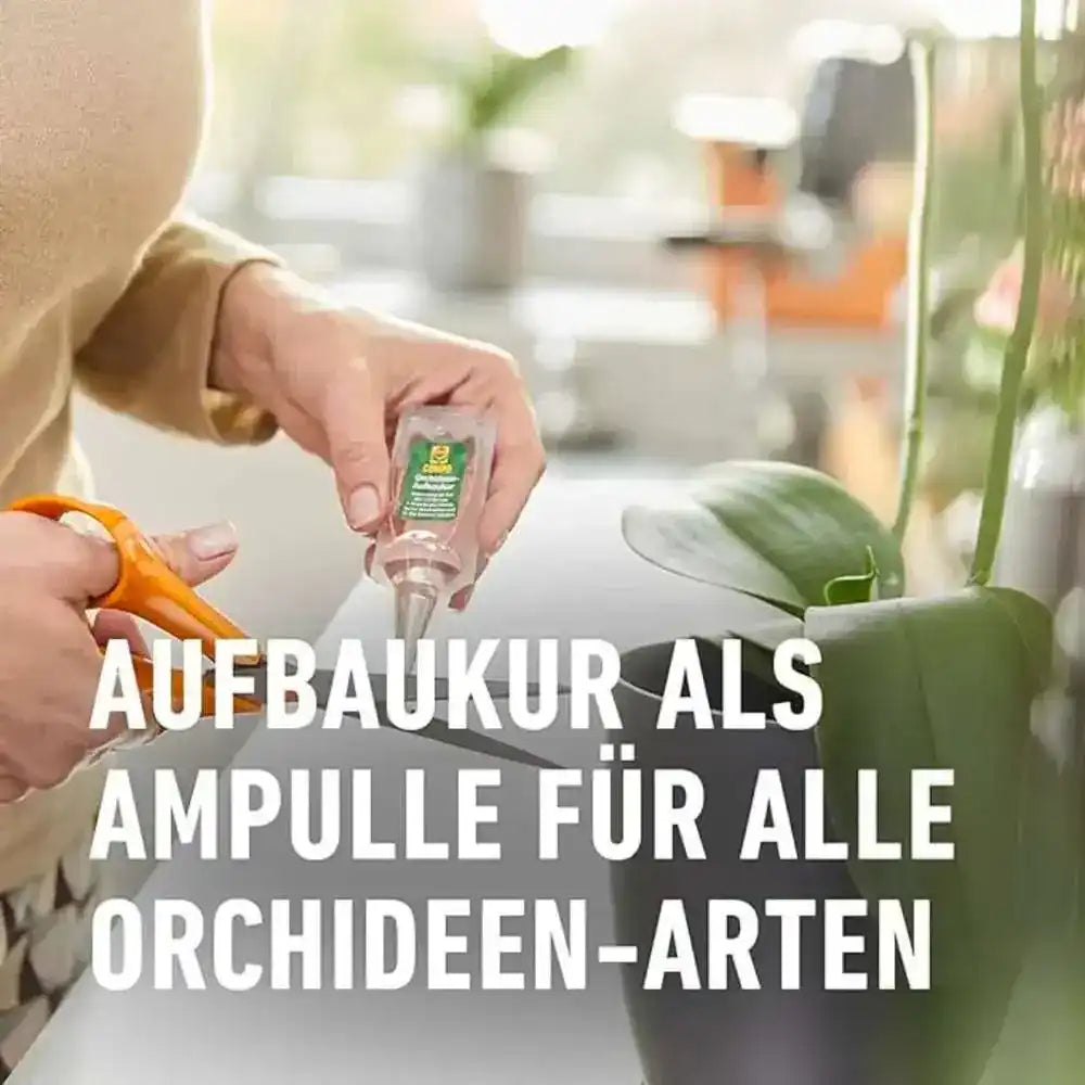 COMPO Orchideen-Aufbaukur