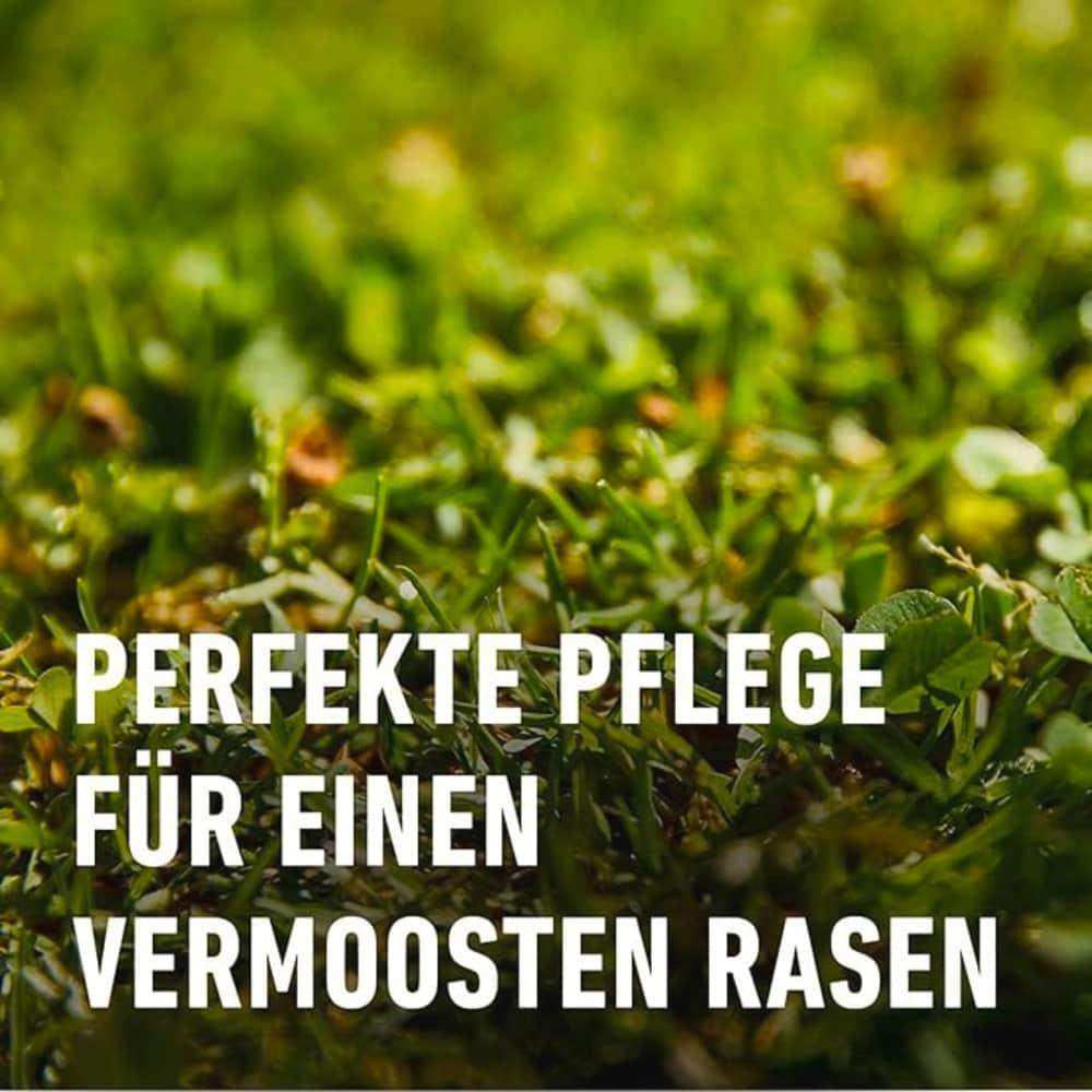 COMPO Rasendünger Moos – Nein danke!