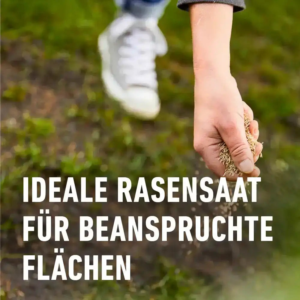 COMPO Rasensaat Spiel & Sportaktion