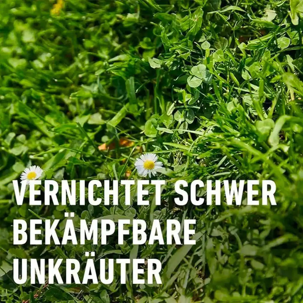 COMPO Rasenunkraut-Vernichter Banvel® Quattro AF