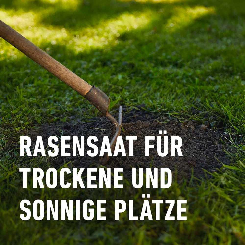 COMPO SAAT® Trocken-Rasen - Japankoi.net