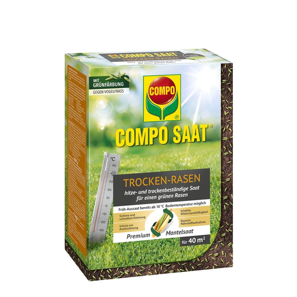 COMPO SAAT® Trocken-Rasen - Japankoi.net