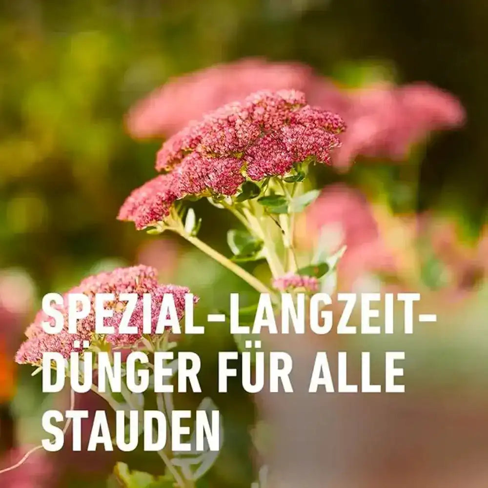 COMPO Stauden Langzeit-Dünger
