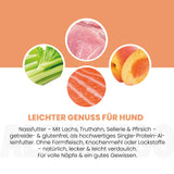 Lachs + Truthahn Nassfutter für Adult Hunde
