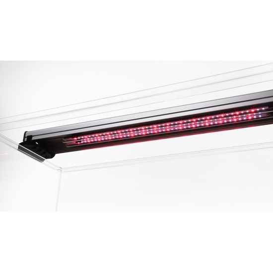 sera Aqua Tank Light Set - Fixture Silver - 2 LED