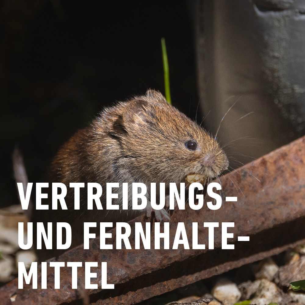 Cumarax® Wühlmaus-Stopp