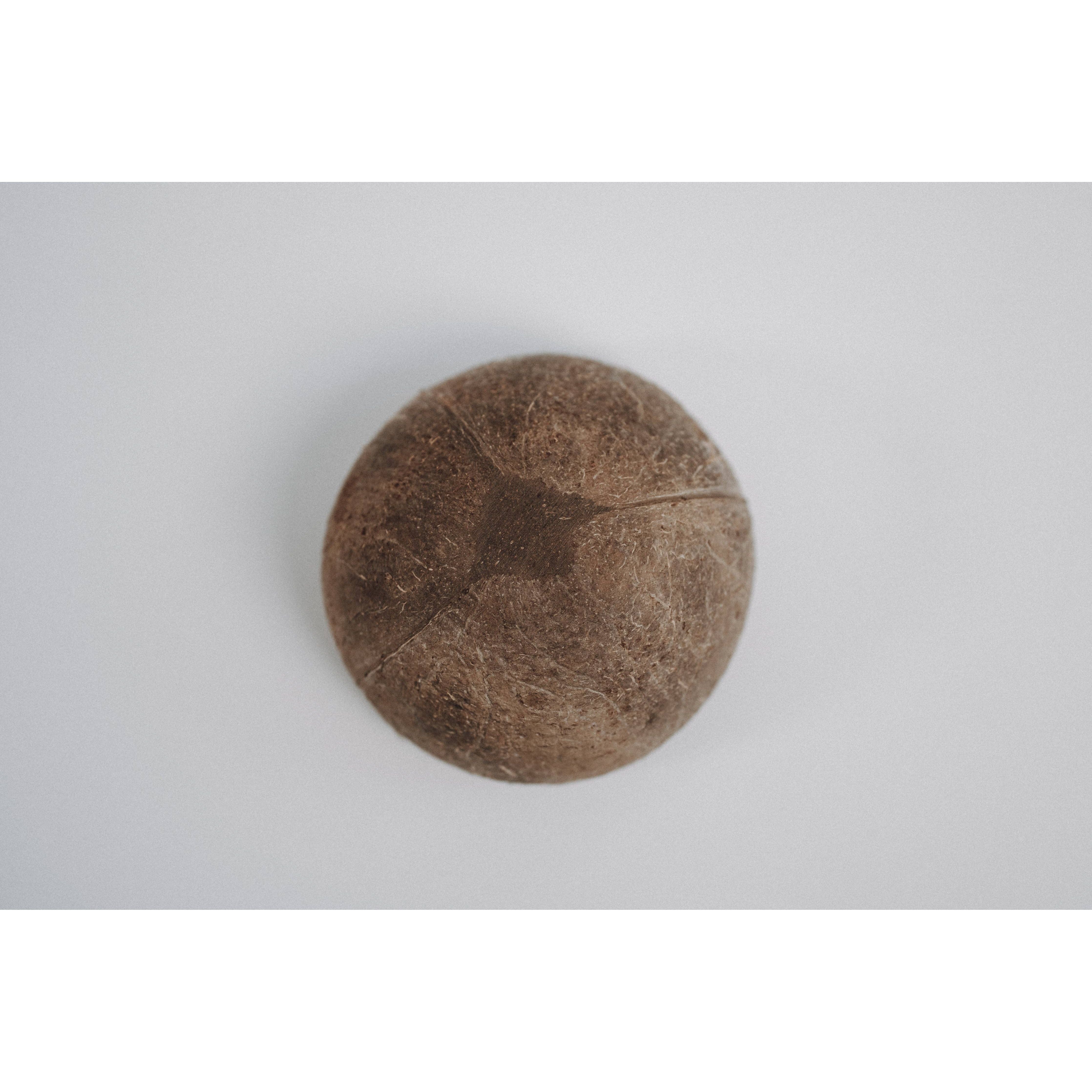 Kokosnuss Bowl - JustBowl - Natural